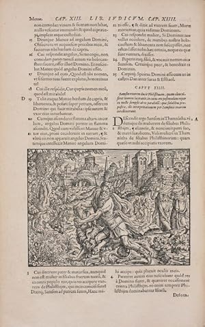 Bild des Verkufers fr Biblia ad vetustissima exemplaria nunc recens castigata. Frankfurt, G. Corvinus und S. Feyerabend 1566. Folio. (8),602,(63) Blatt mit 125 halbseitigen Holzschnitten von Jost Amman. Pergamentbd. d. Zeit. zum Verkauf von Antiquariat Schmidt & Gnther