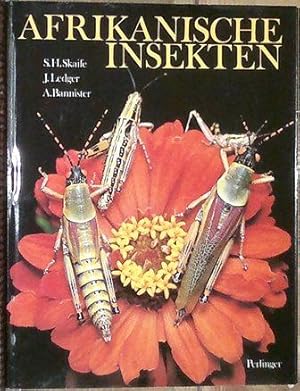 Afrikanische Insekten.