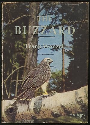 Seller image for The Buzzard for sale by Between the Covers-Rare Books, Inc. ABAA