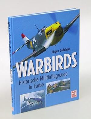 Warbirds. Historische Militärflugzeuge in Farbe.
