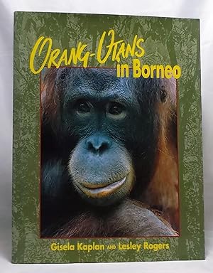 Orang-Utans in Borneo