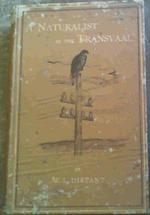 A Naturalist in the Transvaal