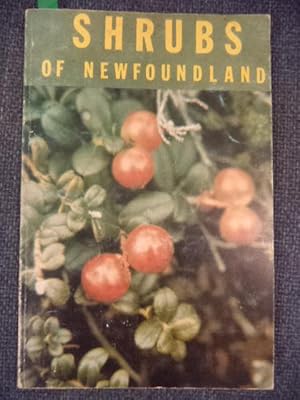 Shrubs of Newfoundland