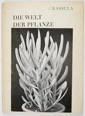 Die Welt der Pflanze: Band II, Crassula