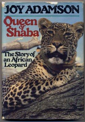 Queen Of Shaba