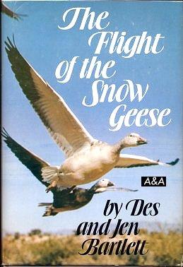 The Flight Of The Snow Geese