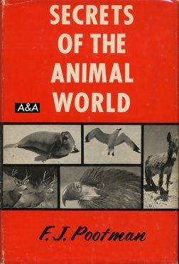 Secrets Of The Animal World