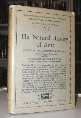 The Natural History Of Ants