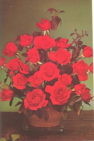 Seller image for The American Rose Annual, 1973. [Drying & Preserving Roses; Rose disease; Little tricks for a new rose grower; Growth chambers of Teflon; Nematodes; Downy Mildew; Roses as shrubs; Organic Gardening; Pruning; Plant Respiration] for sale by Joseph Valles - Books
