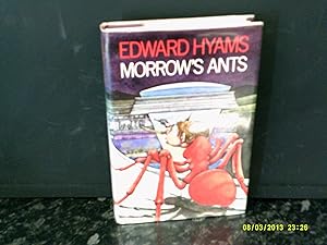 Morrow's Ants