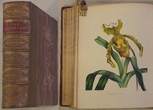 Image du vendeur pour The Botanist. (Containing accurately coloured figures, of tender and hardy ornamental plants; with descriptions, scientific and popular; intended to convey both moral and intellectual gratification). mis en vente par Biblion Antiquariat