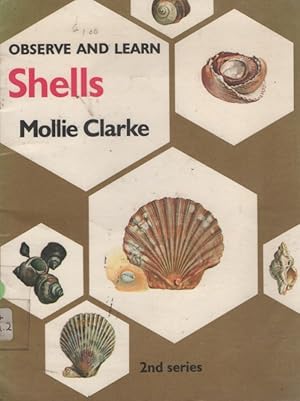 Image du vendeur pour Shells - OBSERVE AND LEARN 2nd series mis en vente par Nanny's Web