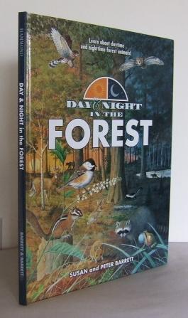 Day & Night in the Forest