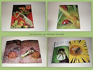 Les Insectes. [Tout en Couleur].