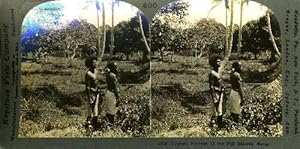 Stereoscopic view, Typical Natives of the Fiji Islands, Suva