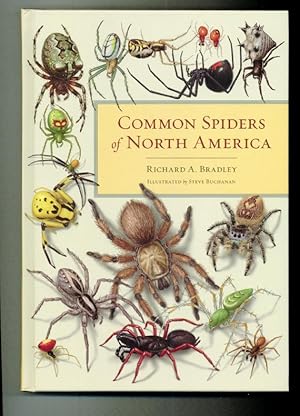 Common spiders of North America. Sponsored by the American Arachnological Society.