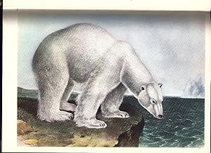 Bild des Verkufers fr WILDLIFE IN AMERICA zum Verkauf von Charles Agvent,   est. 1987,  ABAA, ILAB