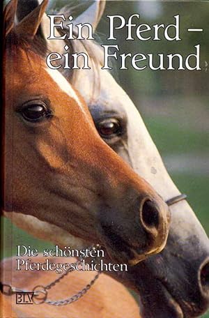 Bild des Verkufers fr Ein Pferd - ein Freund. Die schnsten Pferdegeschichten. zum Verkauf von Online-Buchversand  Die Eule