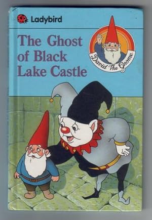 Seller image for The Ghost of Black Lake Castle for sale by The Children's Bookshop