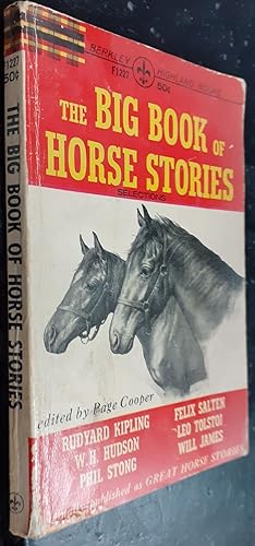 Image du vendeur pour The big book of horse stories mis en vente par Librera La Candela