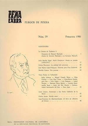 Bild des Verkufers fr PEA LABRA PLIEGOS DE POESA N 39 zum Verkauf von Librera Torren de Rueda