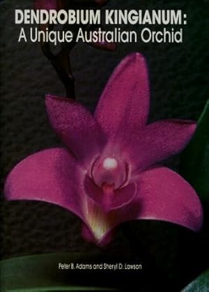 Dendrobium Kingianum : A Unique Australian Orchid