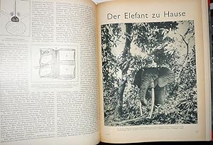 Immagine del venditore per Die Koralle. Monatshefte fr alle Freunde von Natur und Technik. 8. Jahrgang 1932, Heft 1-6. venduto da Antiquariat Dwal
