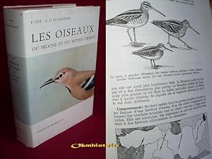 Les oiseaux du Proche et du Moyen Orient de la Méditerranée aux contreforts de l'Himalaya