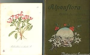 Alpenflora. Hundert Alpenpflanzen gemalt von Josef Seboth.