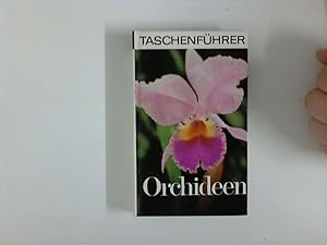 Orchideen : Taschenführer