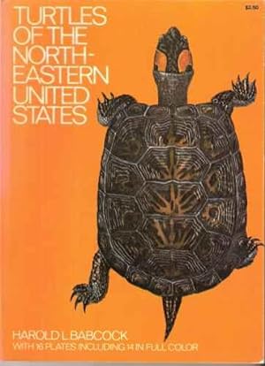 Turtles of the North-Eastern United States