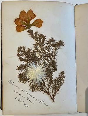 Botanical album poetry ca 1900 | Poesiealbum/Poezie album (A5 formaat) van Regina Tisfot met 47 b...