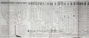 Carte genealogique des souverains issus de Ferdinand Premier, empereur. [op één blad met:] Carte ...