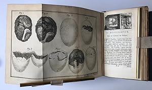 Agriculture, Economy, Illustrated, 1751 | Konst om tamme-vogelen van aller hande soort in alle ja...