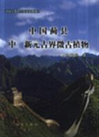 Seller image for Microplants of the Mesoproterozoic-Neoproterozoic Erathem in Jixian, China ( In Chinese with English summary)(Chinese Edition) for sale by liu xing
