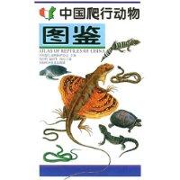 Seller image for Atlas of Reptiles of China (In Chinese with Latin name index)(Chinese Edition) for sale by liu xing