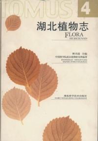 Immagine del venditore per Flora Hubeiensis (Tomus 4)(In Chinese with Latin Name)(Chinese Edition) venduto da liu xing