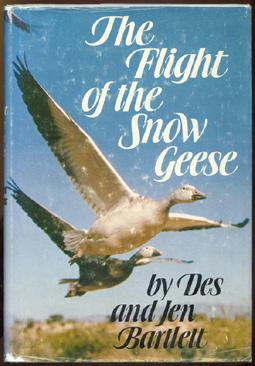 The Flight of the Snow Geese.