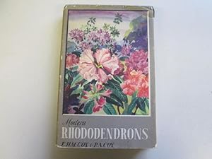 Image du vendeur pour Modern Rhododendrons. mis en vente par Goldstone Rare Books