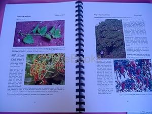 PLANTS VISITED BY BEES AND OTHER USEFUL PLANTS OF UMALILA, SOUTHERN TANZANIA