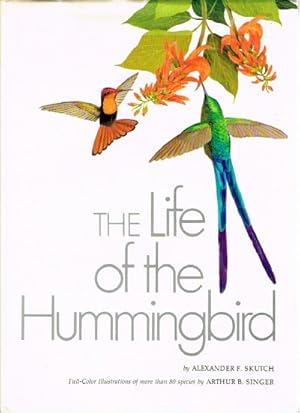 Imagen del vendedor de The Life of the Hummingbird a la venta por Round Table Books, LLC
