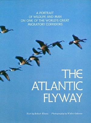 The Atlantic Flyway