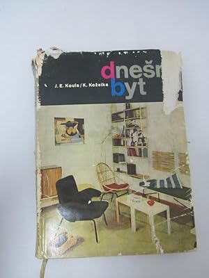 Seller image for Dnesni Byt [Contemporary Apartments] for sale by Atlantic Bookshop