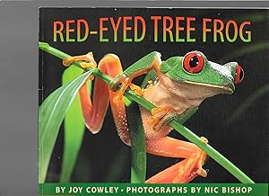 Imagen del vendedor de Red-Eyed Tree Frog a la venta por TuosistBook
