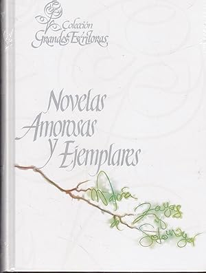 Image du vendeur pour NOVELAS AMOROSAS Y EJEMPLARES (Colecc Grandes Escritoras) -nuevo mis en vente par CALLE 59  Libros