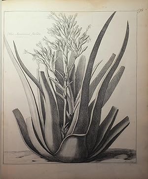 Image du vendeur pour Estampes pour servir a l'histoire des Plantes mis en vente par Arader Galleries - AraderNYC