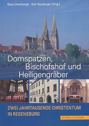 Imagen del vendedor de Domspatzen, Bischofshof und Heiligengrber. Zwei Jahrtausende Christentum in Regensburg. a la venta por Fundus-Online GbR Borkert Schwarz Zerfa