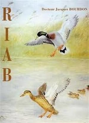 Riab : Aquarelliste animalier