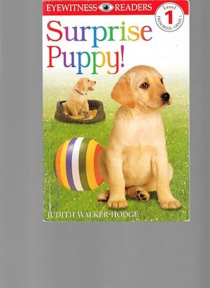 Seller image for DK Readers: Surprise Puppy (Level 1: Beginning to Read) for sale by TuosistBook