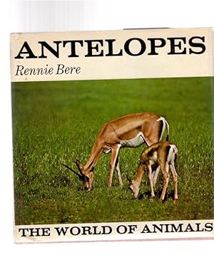 Antelopes